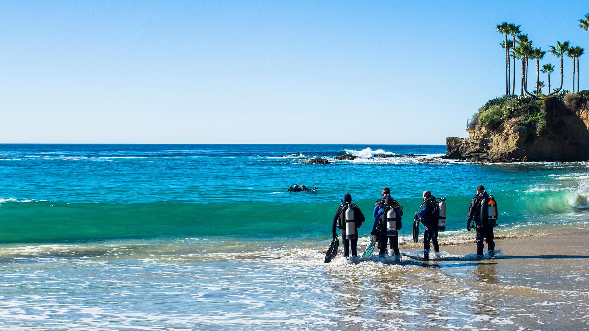 Diver Membership PADI